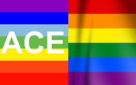 Bandiera dell pace e quella LGTB a confronto